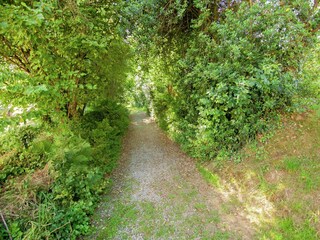 Parque de vacaciones Saint-Léonard-de-Noblat Entorno 29