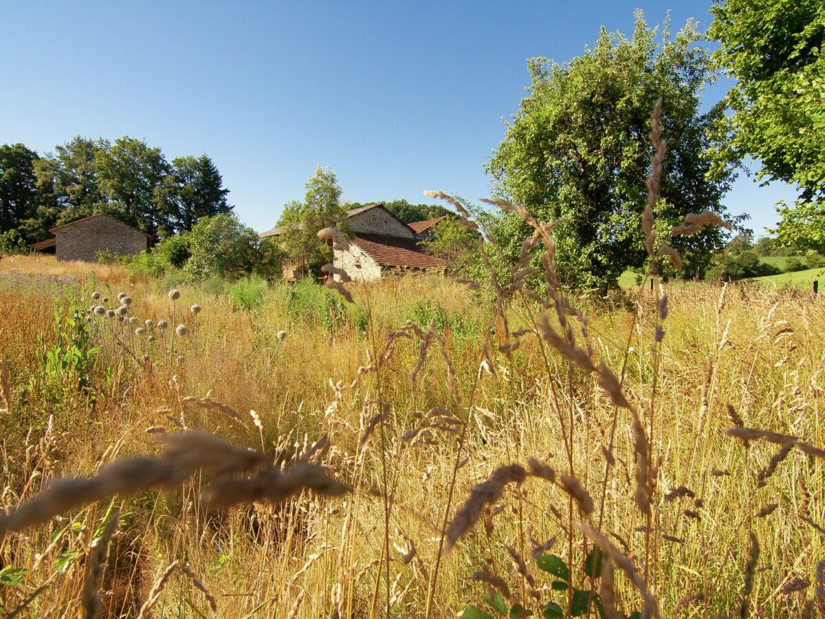 Ferienpark Saint-Léonard-de-Noblat Umgebung 33