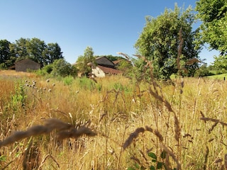 Holiday park Saint-Léonard-de-Noblat Environment 37