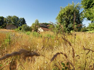 Holiday park Saint-Léonard-de-Noblat Environment 38