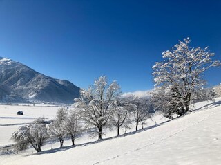 Appartamento Hollersbach im Pinzgau Registrazione all'aperto 13