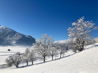 Appartement Hollersbach im Pinzgau Enregistrement extérieur 14