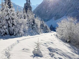 Apartment Hollersbach im Pinzgau Umgebung 32