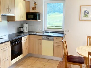 Appartamento Hollersbach im Pinzgau Caratteristiche 13