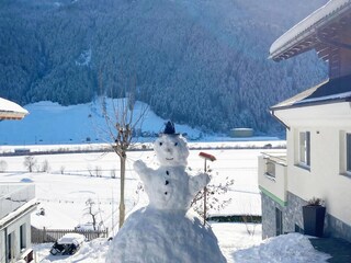 Appartamento Hollersbach im Pinzgau Registrazione all'aperto 7