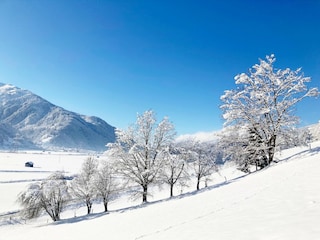 Appartamento Hollersbach im Pinzgau Ambiente 35