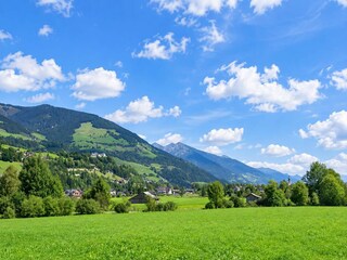 Appartement Hollersbach im Pinzgau Omgeving 64