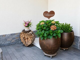 Appartement Hollersbach im Pinzgau  81