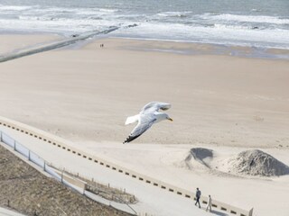 Appartement Middelkerke  30