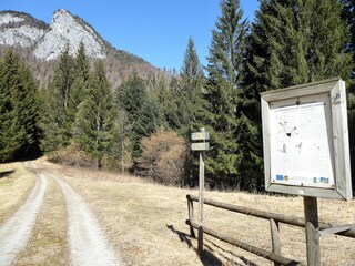 Holiday house Domegge di Cadore Environment 31