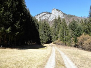 Maison de vacances Domegge di Cadore Environnement 31