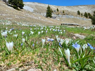 Maison de vacances Domegge di Cadore Environnement 32