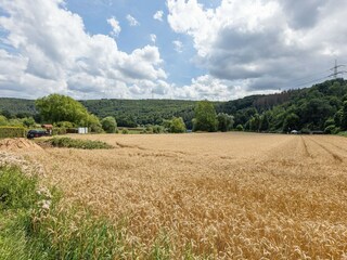 Apartment Fuldabrück Umgebung 42