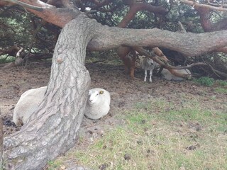 Casa de vacaciones Vejby Strand  3