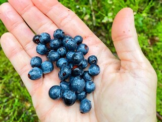 Ferienhaus Hedekas  24
