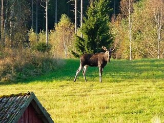 Ferienhaus Hedekas  25