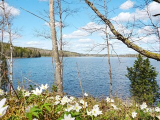 Ferienhaus Hedekas  5