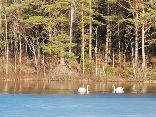 Holiday house Hedekas  19