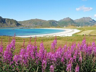 Vakantiehuis Bø (Norwegen)  17