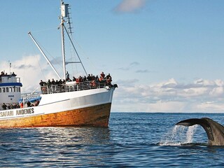 Vakantiehuis Bø (Norwegen)  25