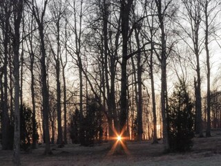 Vakantiehuis Welt  20