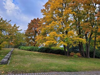 Vakantiehuis Welt  9