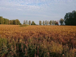 Vakantiehuis Welt  27