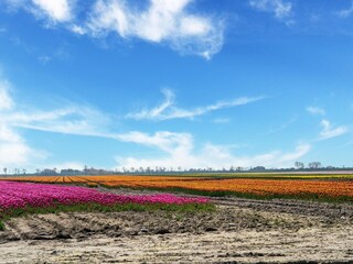 Vakantiehuis Sint-Maartensdijk Omgeving 43