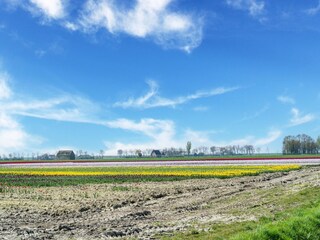 Vakantiehuis Sint-Maartensdijk Omgeving 39