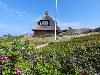 Appartamento per vacanze Rantum Registrazione all'aperto 3