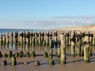 Appartamento per vacanze Rantum Ambiente 13