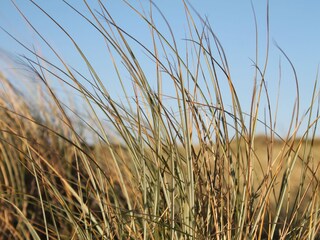 Appartamento per vacanze Rantum Ambiente 14