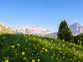 Appartamento per vacanze St. Christina Ambiente 28