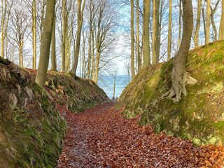 Wandern