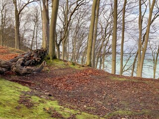 Wandern