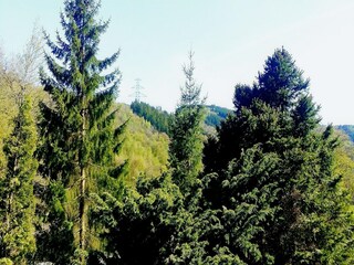 Chalet Bertogne Outdoor Recording 9