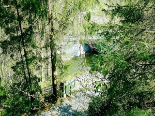 Chalet Bertogne Environment 25