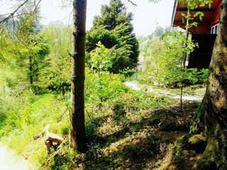 Chalet Bertogne Environment 29