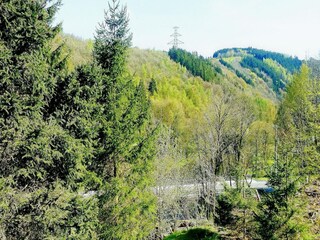 Chalet Bertogne Environment 30