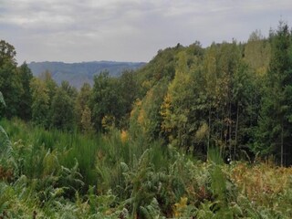 Chalet Bertogne Ambiente 29