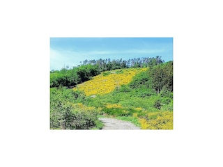 Chalet Bertogne Ambiente 40