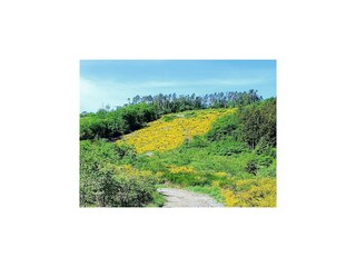 Chalet Bertogne Omgeving 40
