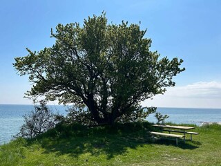 Maison de vacances Uslev  22