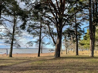 Vakantiehuis Moholm  31