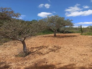 Casa per le vacanze Welt Ambiente 37