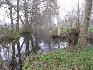 Ferienhaus Giethoorn Umgebung 28