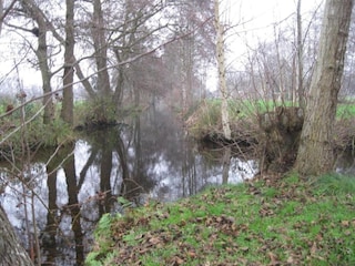 Vakantiehuis Giethoorn Omgeving 23