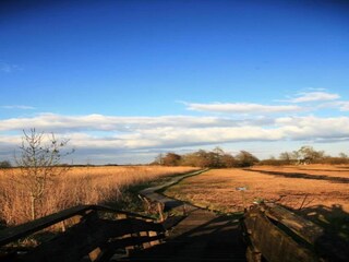 Maison de vacances Giethoorn Environnement 32