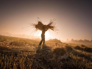 Holiday house Giethoorn Environment 33