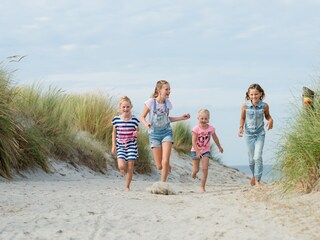 Appartamento Hollum Ambiente 19